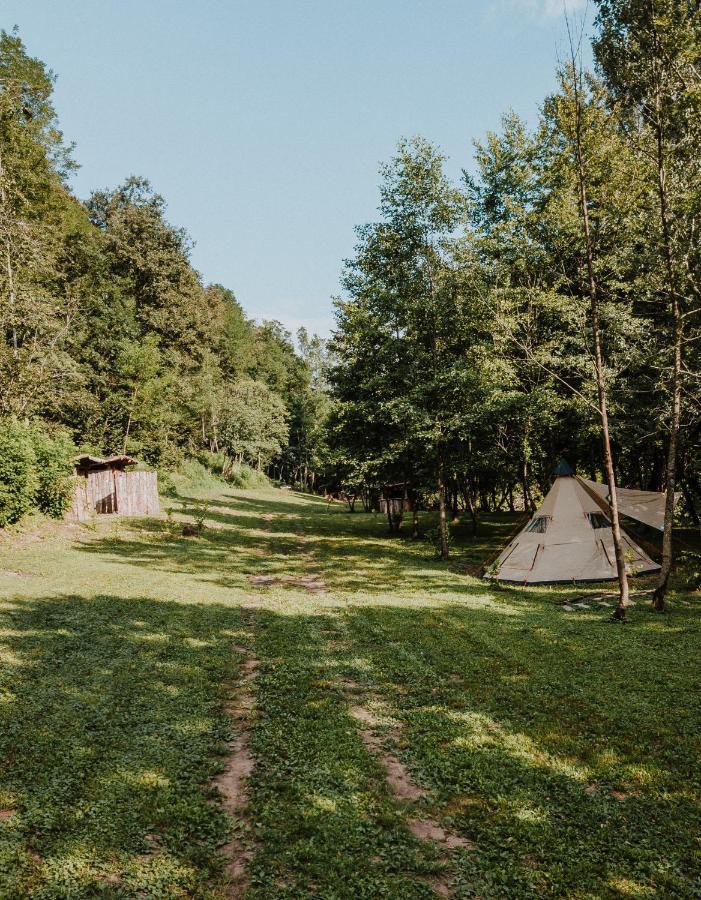 Robinson camp Kupa - Juratovićki brig Hotel Netretic Bagian luar foto